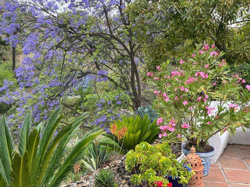 B&B Rural El Oasis Almuñécar Εξωτερικό φωτογραφία